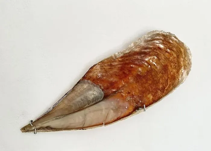 Semesterbostad Paros